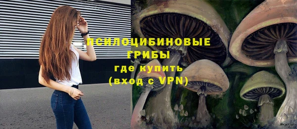 герыч Липки