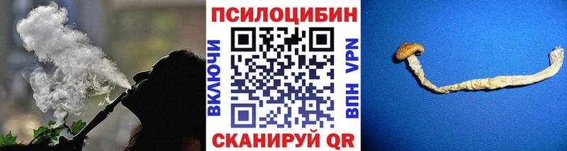 omg tor купить наркотики цена Шуя Галлюциногенные грибы мицелий