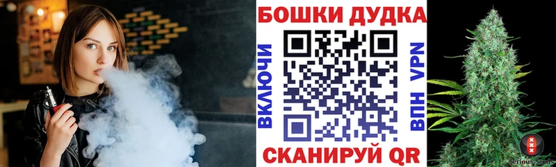 Бошки марихуана конопля  наркотики  Шуя 